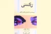 عاشقانه ای در تاکسی 2