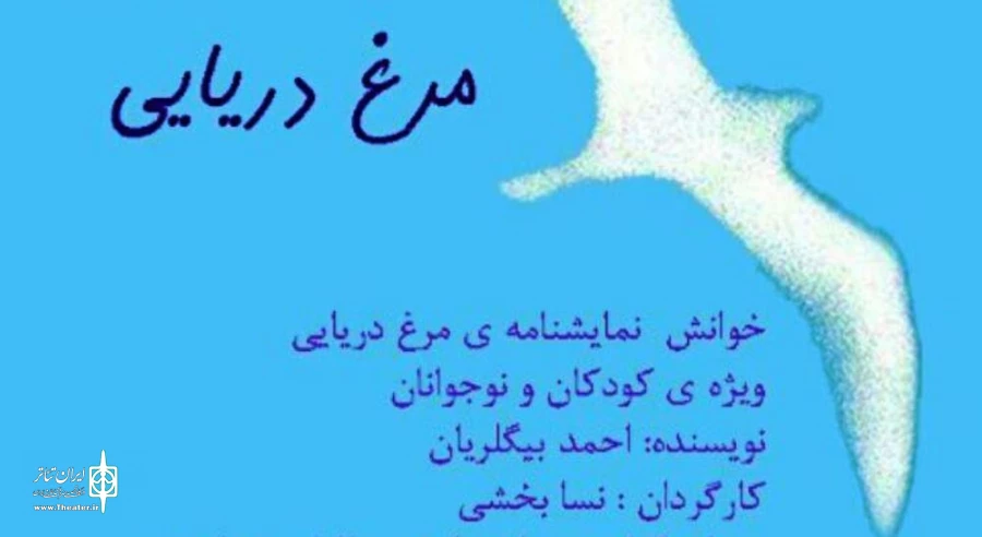 مرغ دریایی