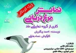 مرغ دریایی