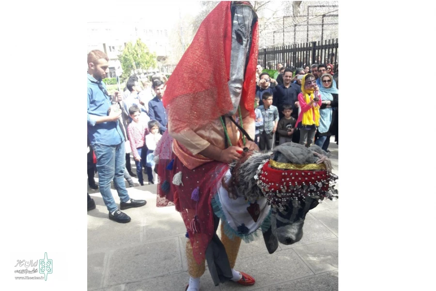 کوسه گلین