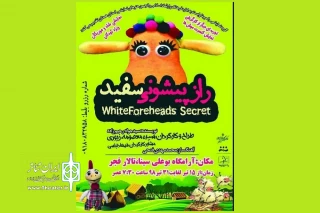 توسط گروه راسپینا

نمایش « راز پیشونی سفید» در همدان به روی صحنه می رود