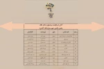 نمایش در دو بخش تهران و شهرستان( نگاه آنلاین)