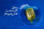 بخش رادیو تئاتر جشنواره بین‌المللی تئاتر فجر